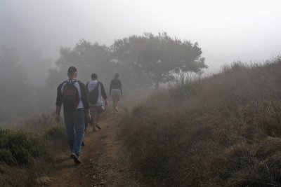 Mt. Tam