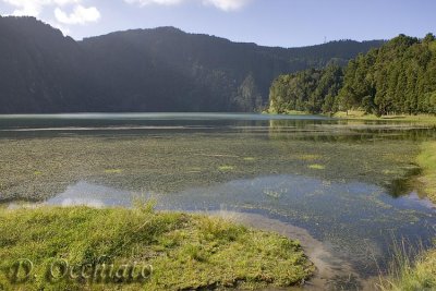 Lagoa Verde