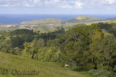 Inland Landscape near Pico da Pedra