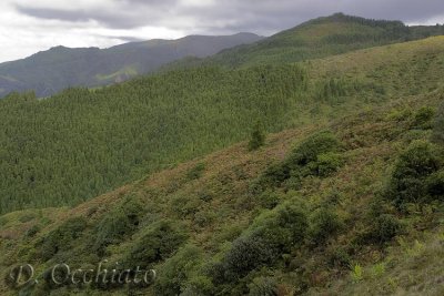 Inland Landscape near Serra da Tronqueira