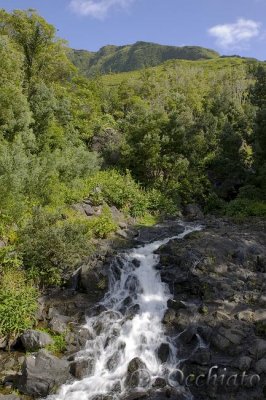 A stream near Faja Grande