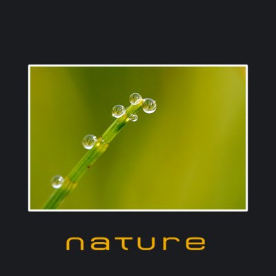 Cover nature.jpg