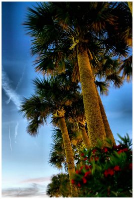 early one evening