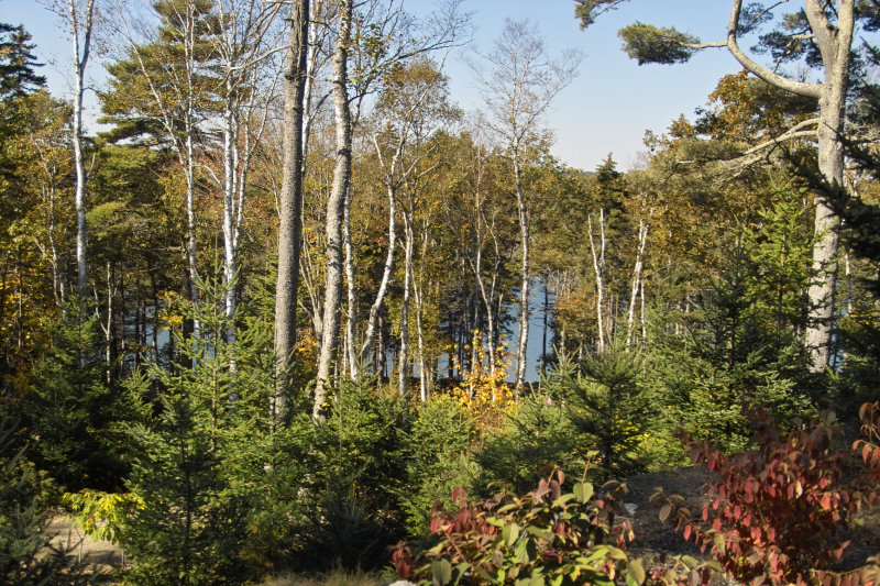 IMG14956.jpg