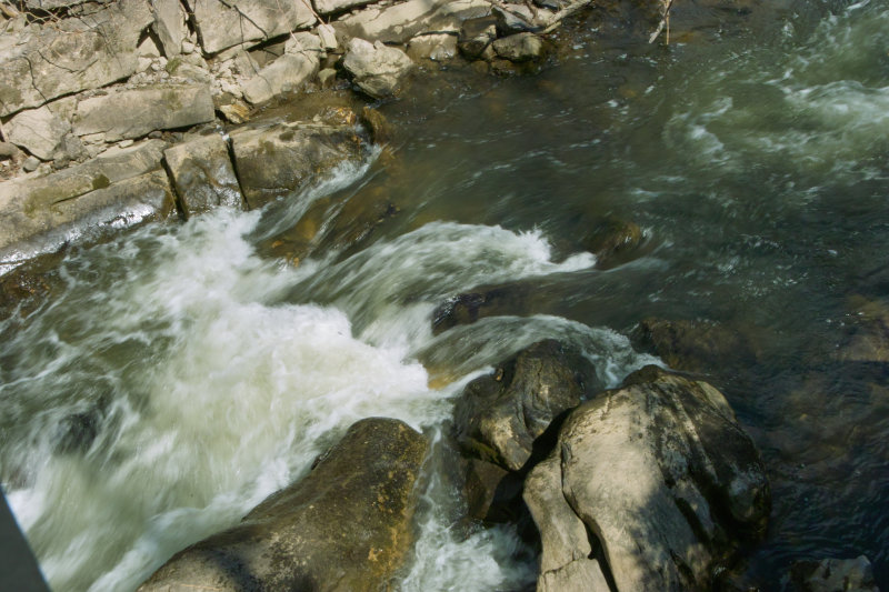 SDIM0778.jpg