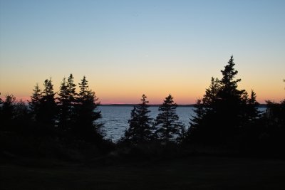 IMG15301.jpg
