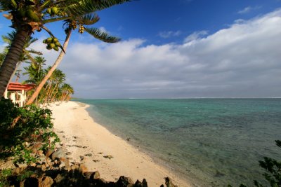 Coral reef beach 4