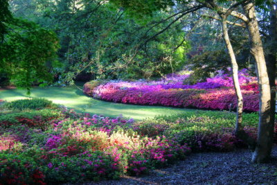 National Rhododendron Gardens