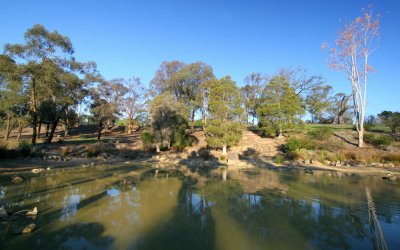 Local Park Pond, Eltham