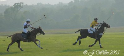 Saratoga Polo