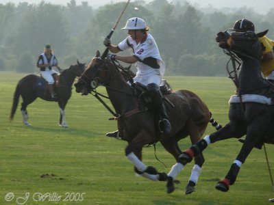 Saratoga Polo