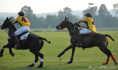 Saratoga Polo