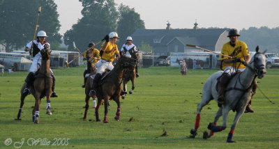 Saratoga Polo