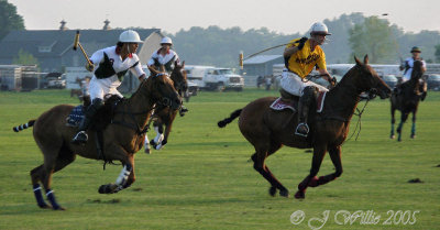 Saratoga Polo