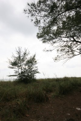 Coquina Beach01.JPG