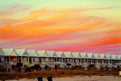 St George Island All in a Row.tif.jpg