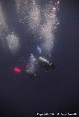 Diving on the Queen of Galapagos