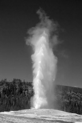 Old Faithful .jpg