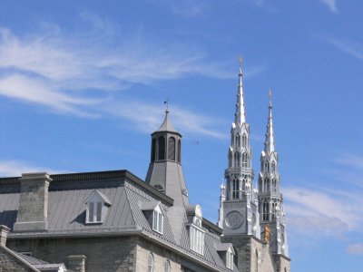 P1020237c768.jpg