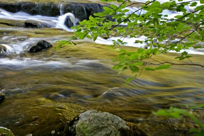 Buttermilk Falls