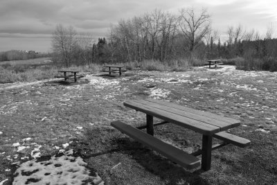 Picnic Tables