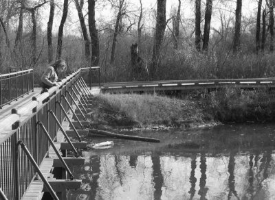 Bridge Over Troubles