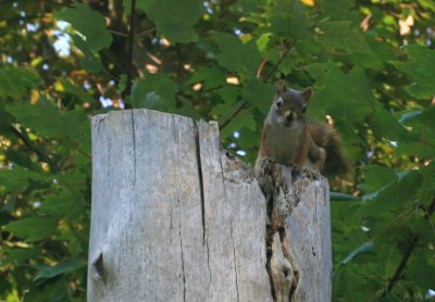 Point Pleasant Park