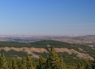 Calgary from Moose Mountain