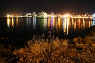 Night Shot From the Grass