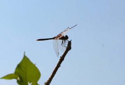 Taking a Rest