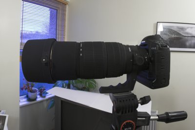 Sigma 120-300 f2.8 & 1D MkIIn pano