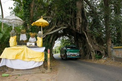 Transport, Balinese style
