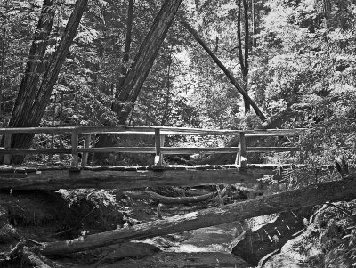 IMG_5852_gg_bw.jpg
