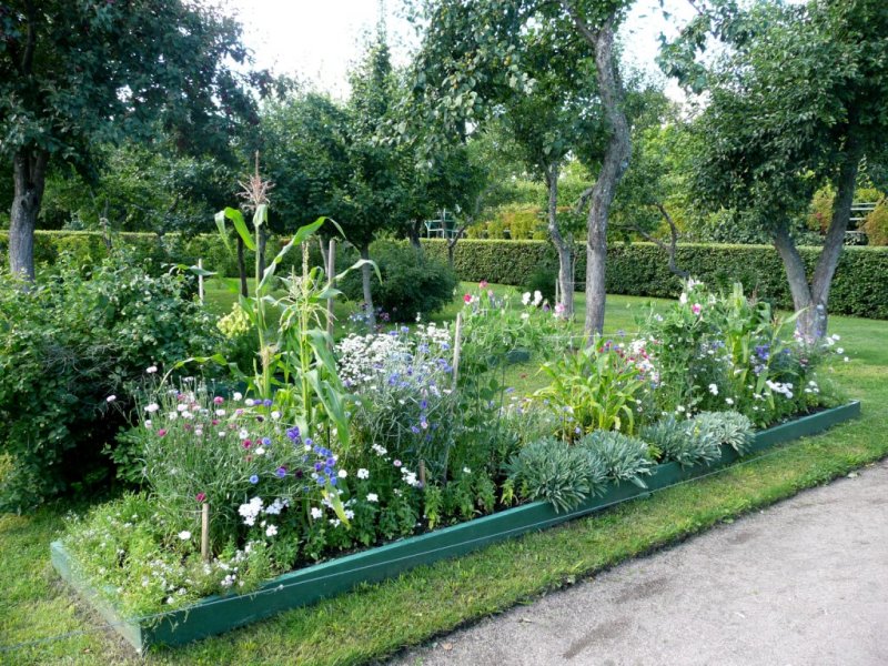 Vegetable Garden with Flowers for Aesthetics