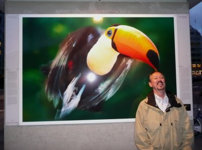 Bill Attacked by Toucan