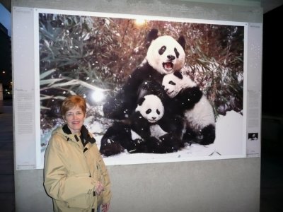 Susan with Pandas