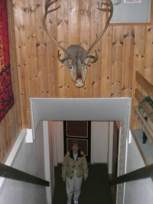 Bathroom Protected by Reindeer