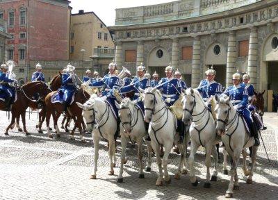 Fanfare Trumpeters on Roans