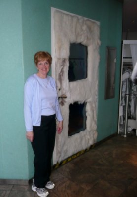 Fur Covered Door for Ice Bar