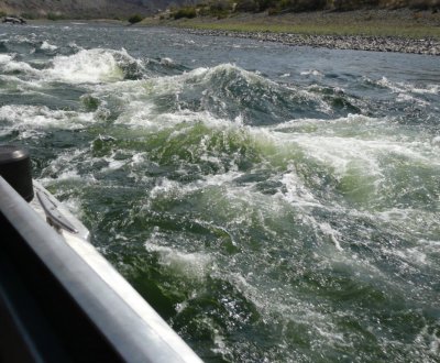 Whitewater on the Snake River