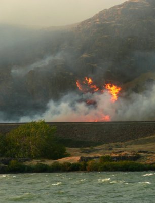 Wildfire on Shore