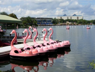Pink Flamingo Paddleboats