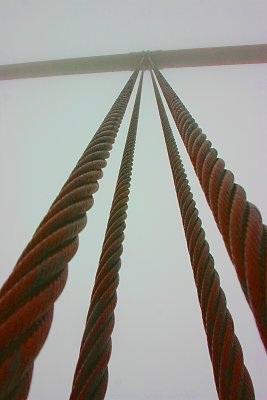 Suspension cables