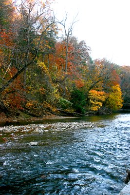 Fall colors along the creek