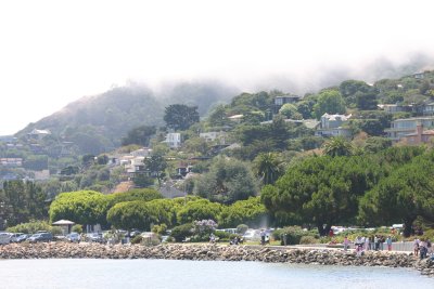 Sausalito homes in the fog