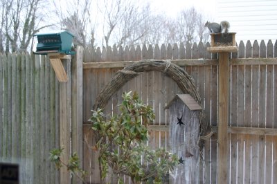 Bird feeder and squirrel munch box