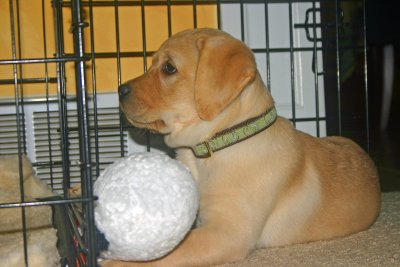 Profile mug shot