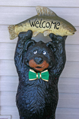 Irish bear