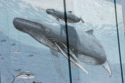 A whale of a mural