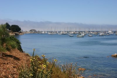 Monterey marina
